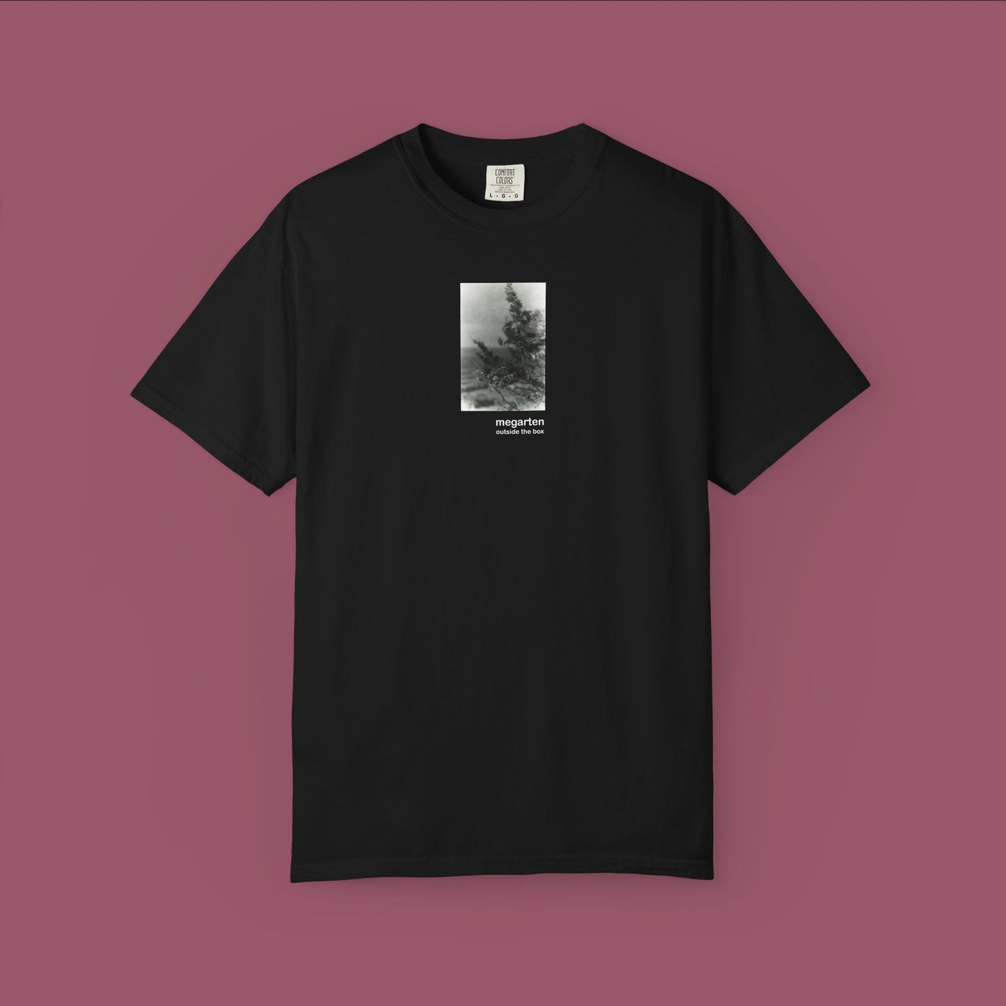 Wearable Art Unisex Tee – "Talcott Mountain Branches"