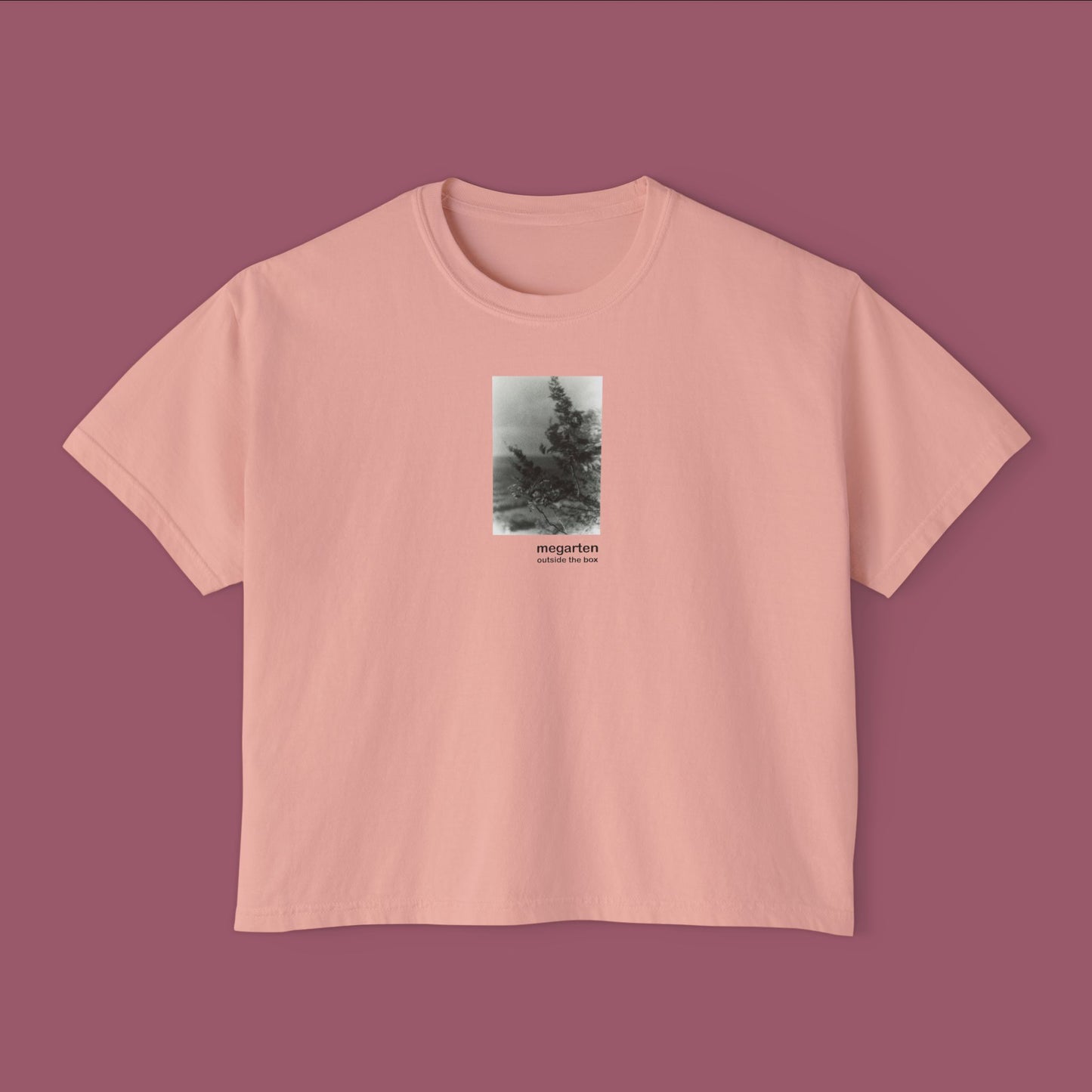 Wearable Art Boxy Tee – "Talcott Mountain Branches"