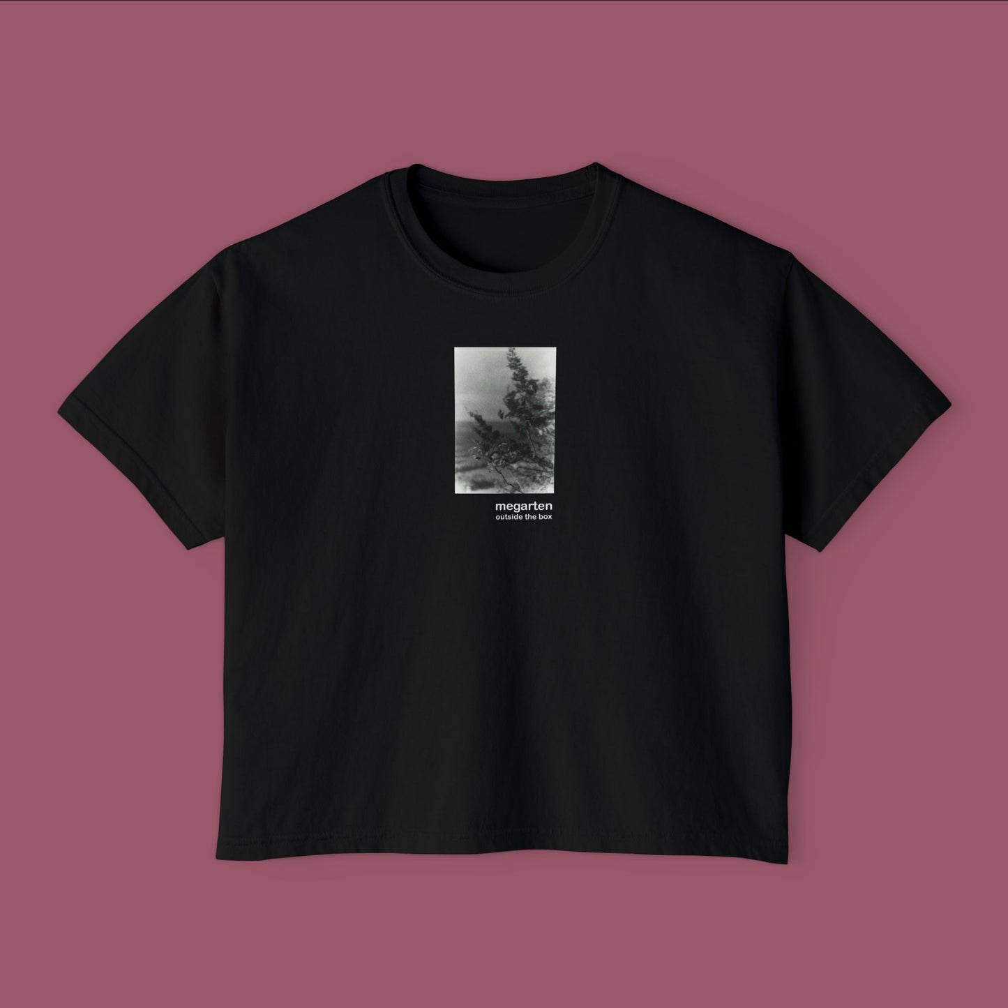 Wearable Art Boxy Tee – "Talcott Mountain Branches"