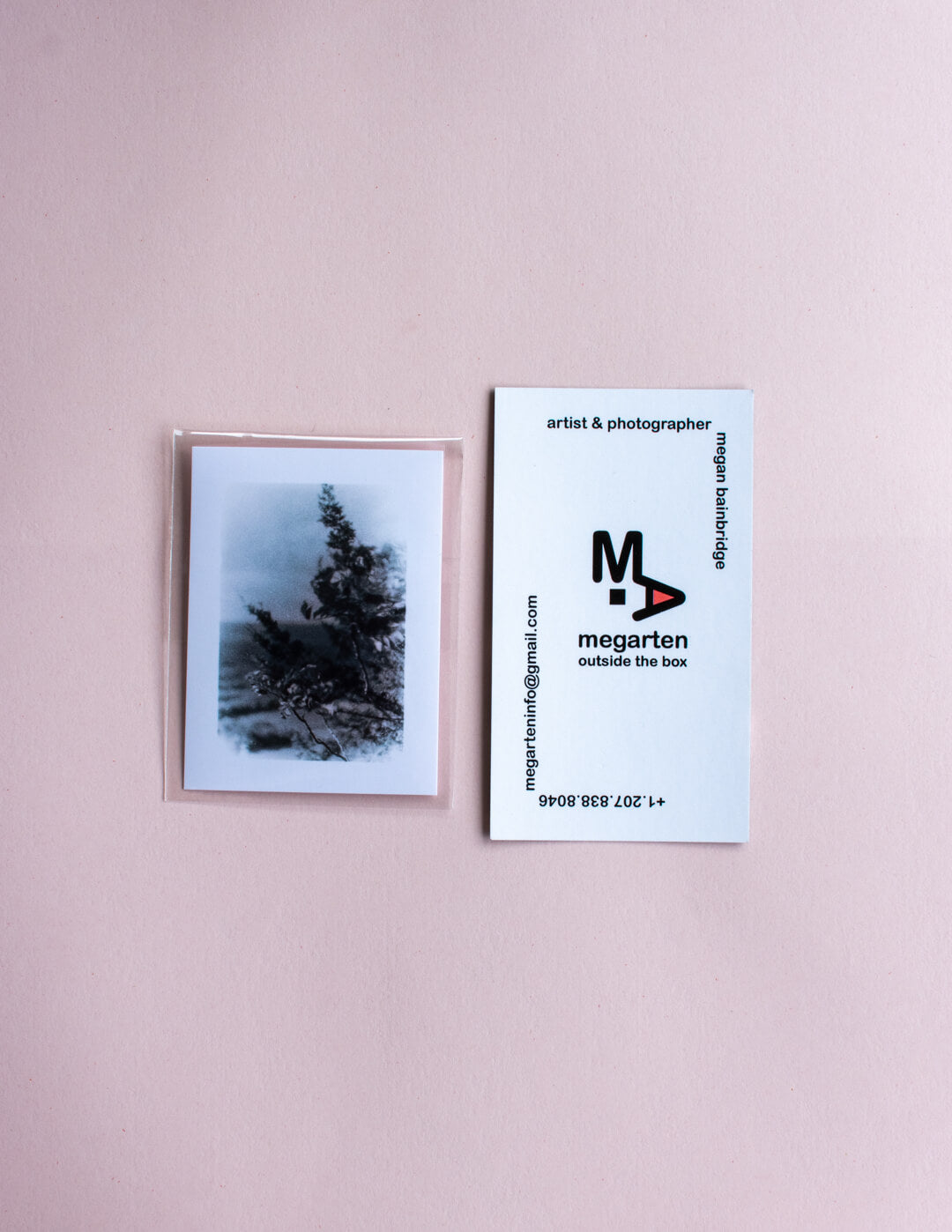 2" x 2.75" Mini Print - 2" x 2.75" Talcott Mountain Branches Misprint image