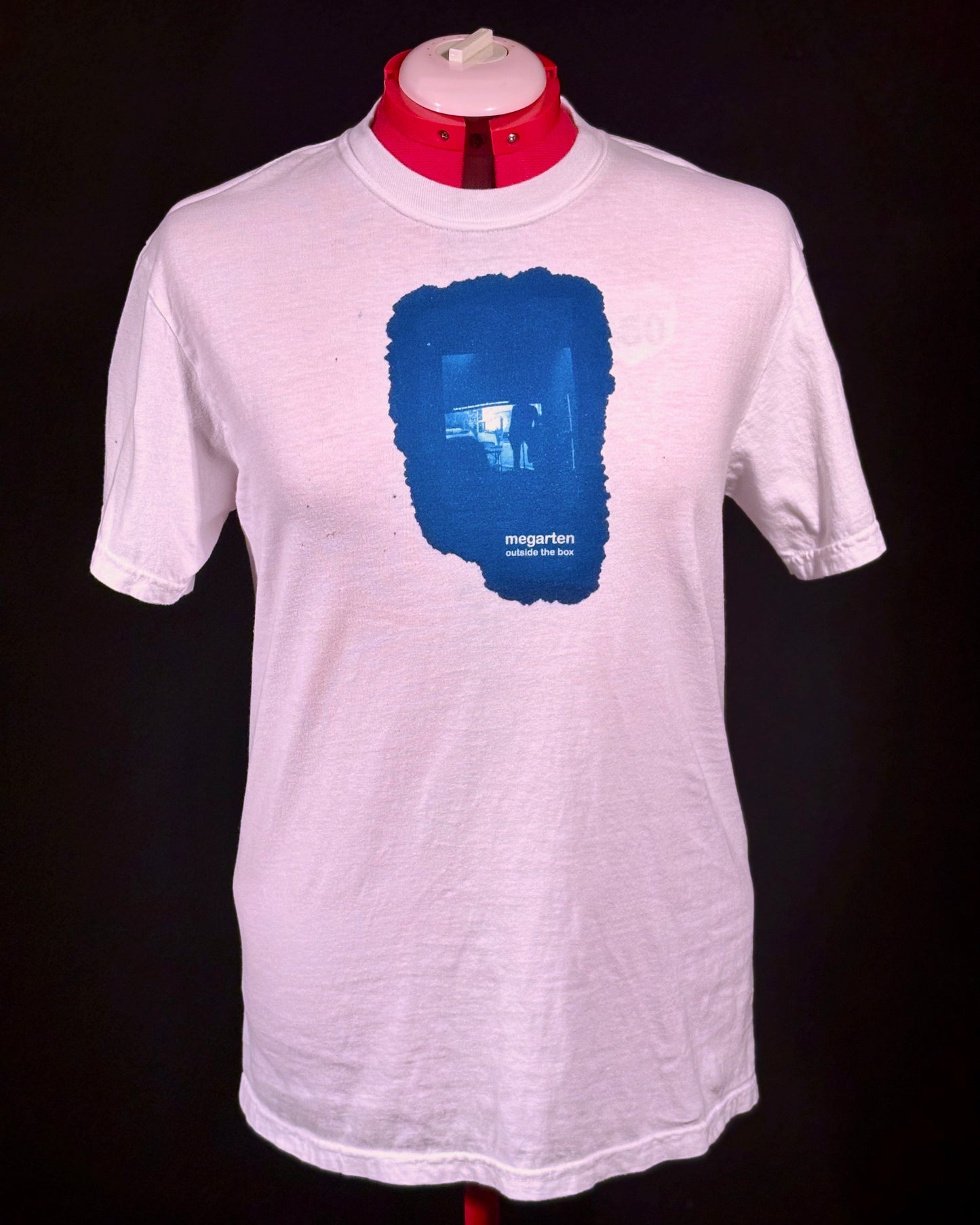 Wearable Art Cyanotype Tee – "Lift Your Dress"
