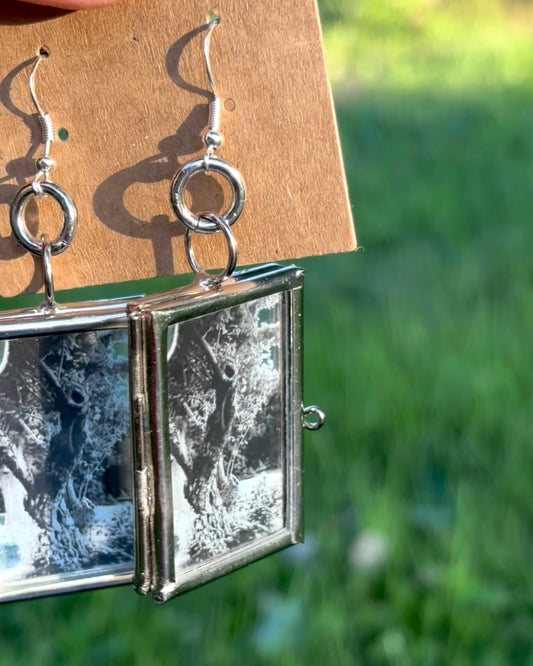 Wearable Art Locket Earrings – Mini Rectangles, Sterling Silver French Hooks, “The Knotted Tree of Elizabeth Park”