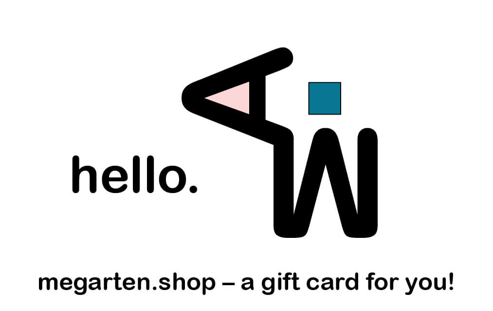 lil guy gift card