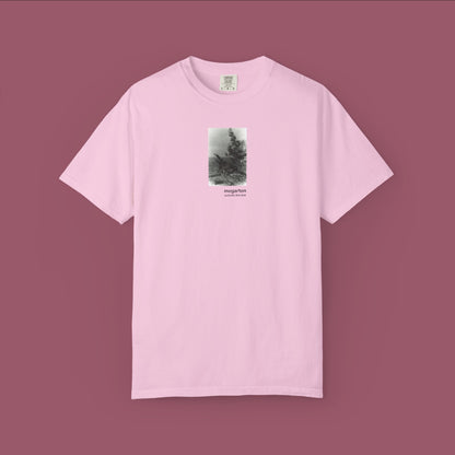 Wearable Art Unisex Tee – "Talcott Mountain Branches"