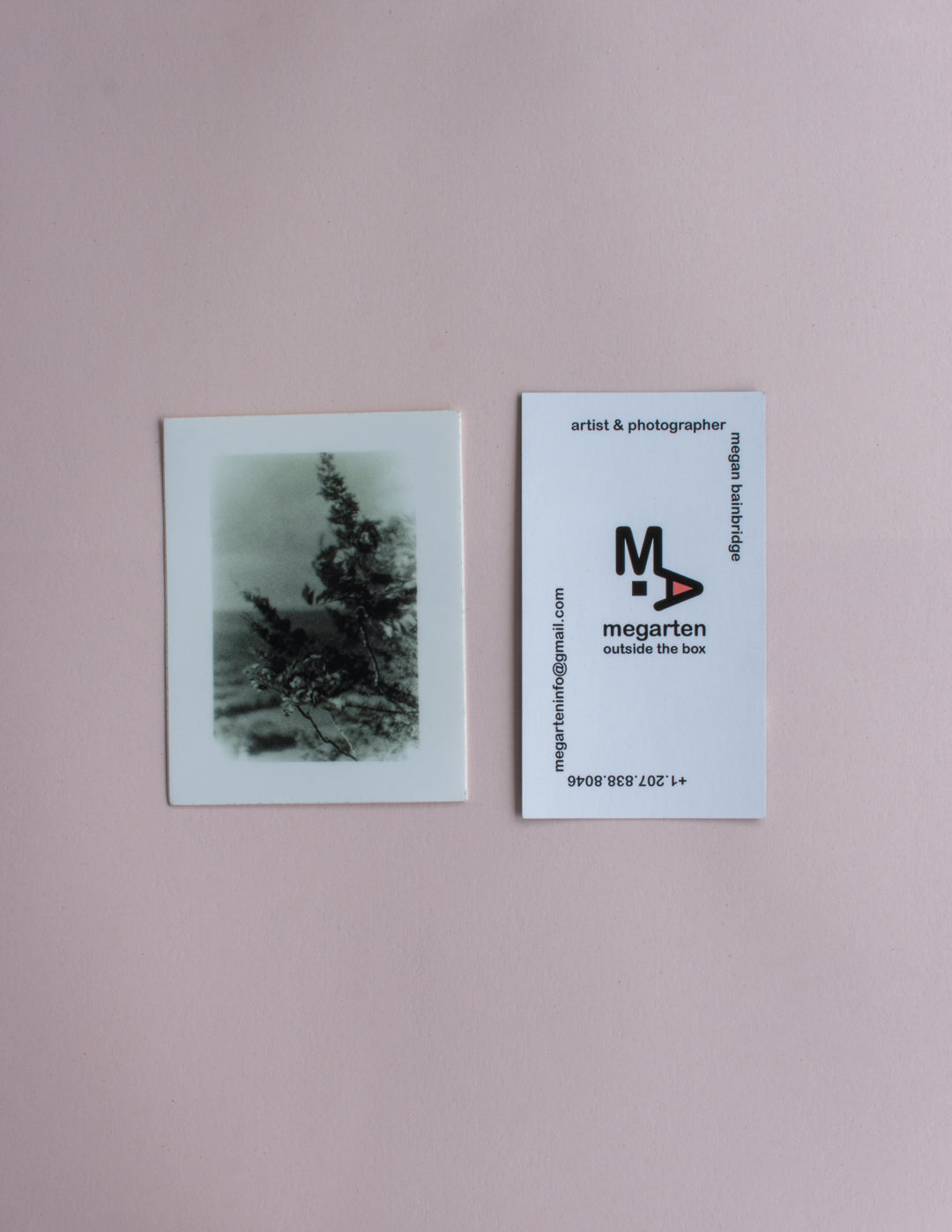 Sticker - Sticker - Sticker 2.5" x 3.23" Talcott Mountain Branches image