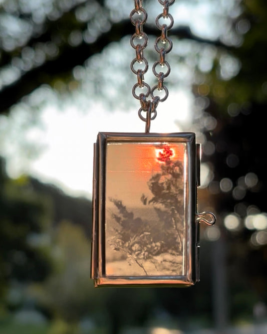 Wearable Art Locket Necklace – Mini Rectangle, Rolo Chain, “Talcott Mountain Branches”