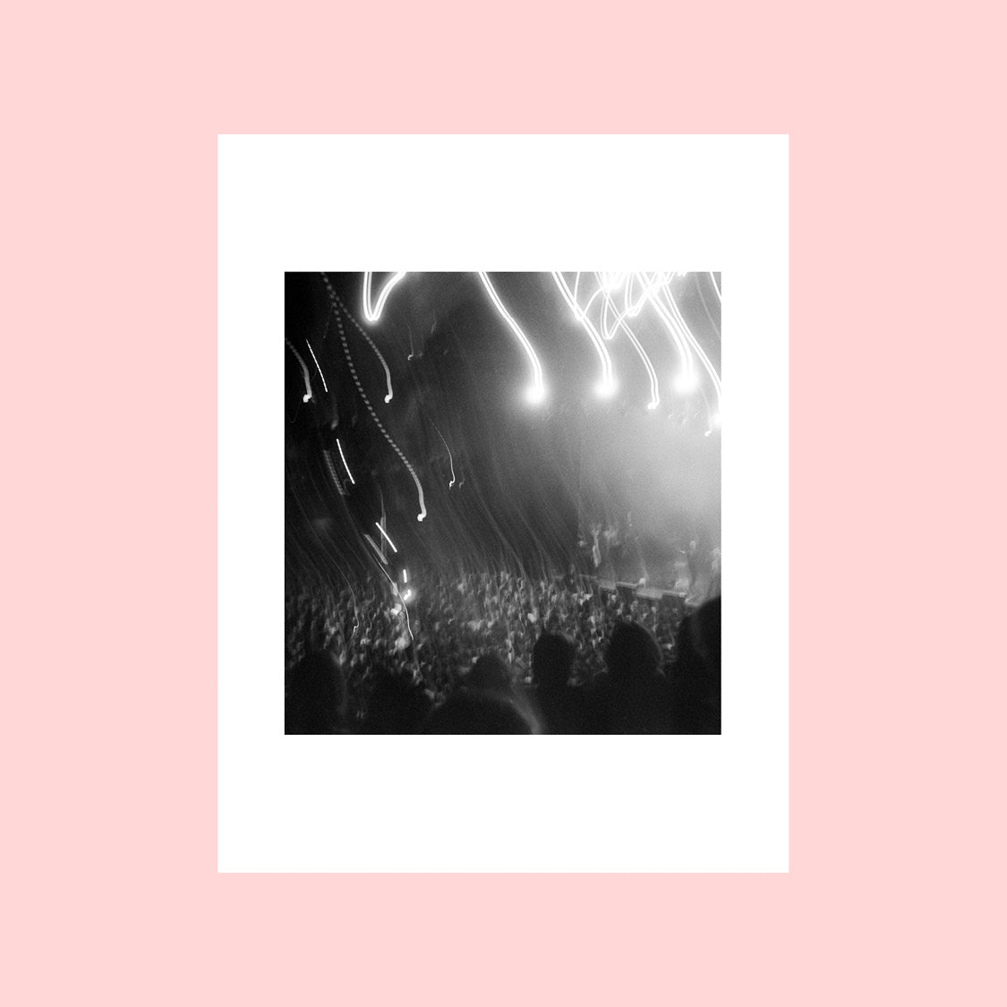 11 x 14" photographic prints