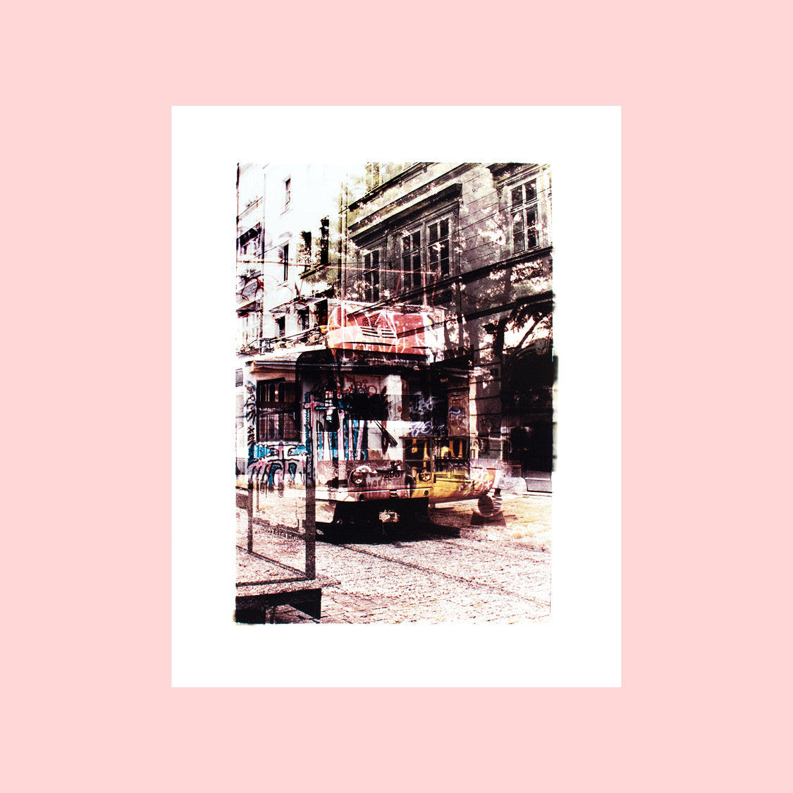11 x 14" photographic prints