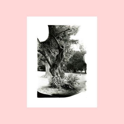 11 x 14" photographic prints